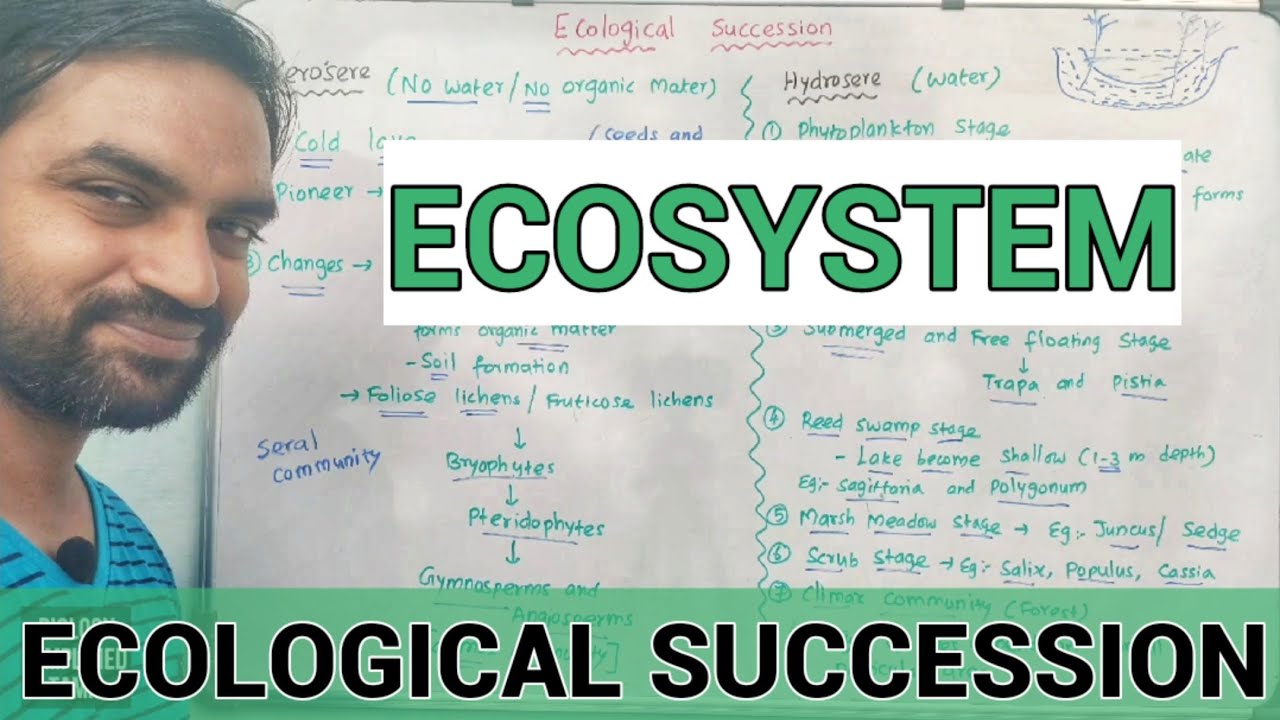 Ecosystem | Ecological succession | Hydrosere and Xerosere