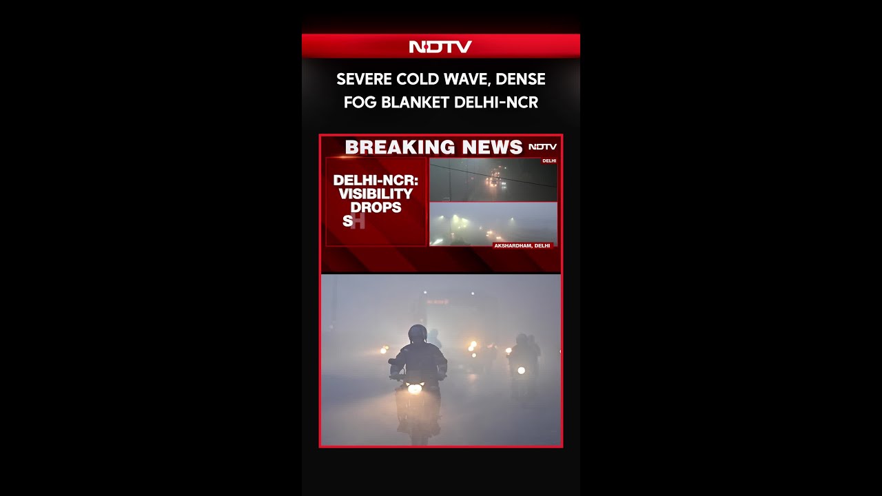 Delhi Fog | Severe Cold Wave And Fog Grips Delhi-NCR, Visibility Drops Sharply