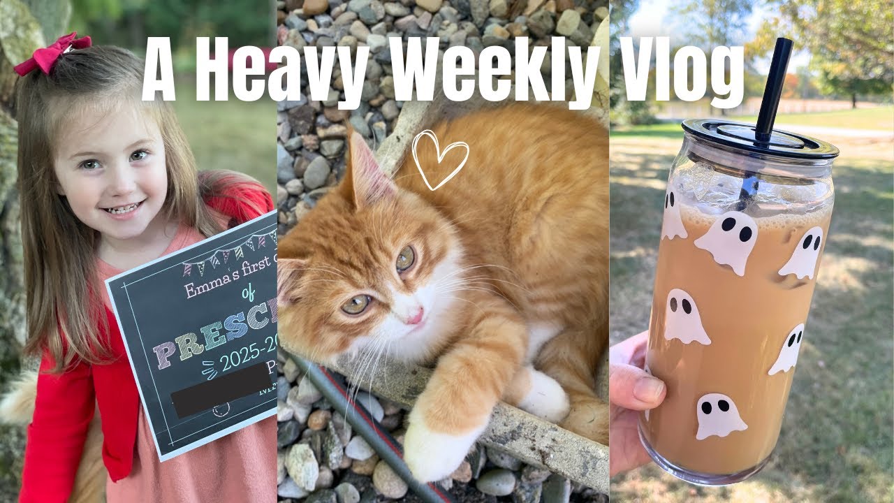 Losing our cat 🥲, first day of preschool, and sharing love | A rough week!  Fall Weekly Vlog