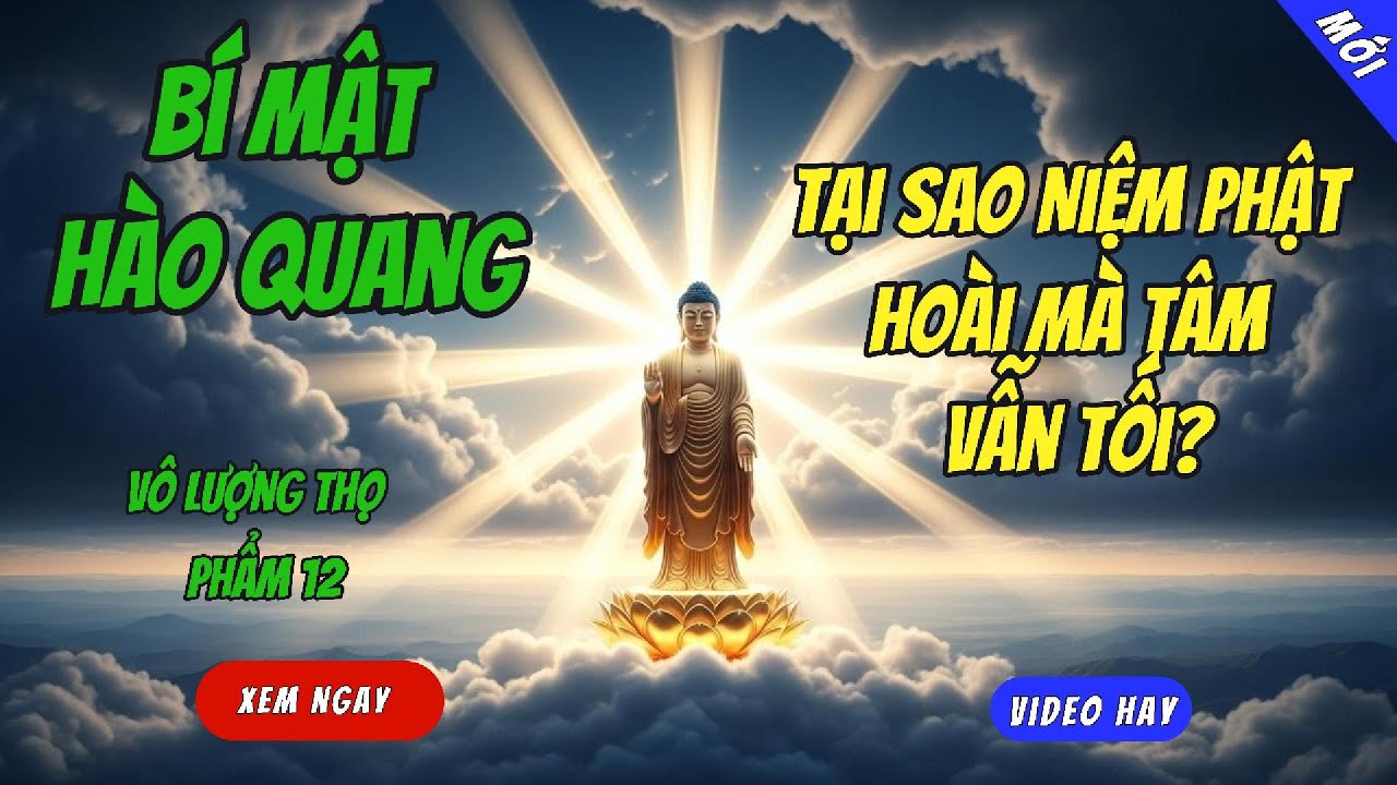 Bí Mật Hào Quang Phẩm 12: Tại Sao Niệm Phật Hoài Mà Tâm Vẫn Tối?