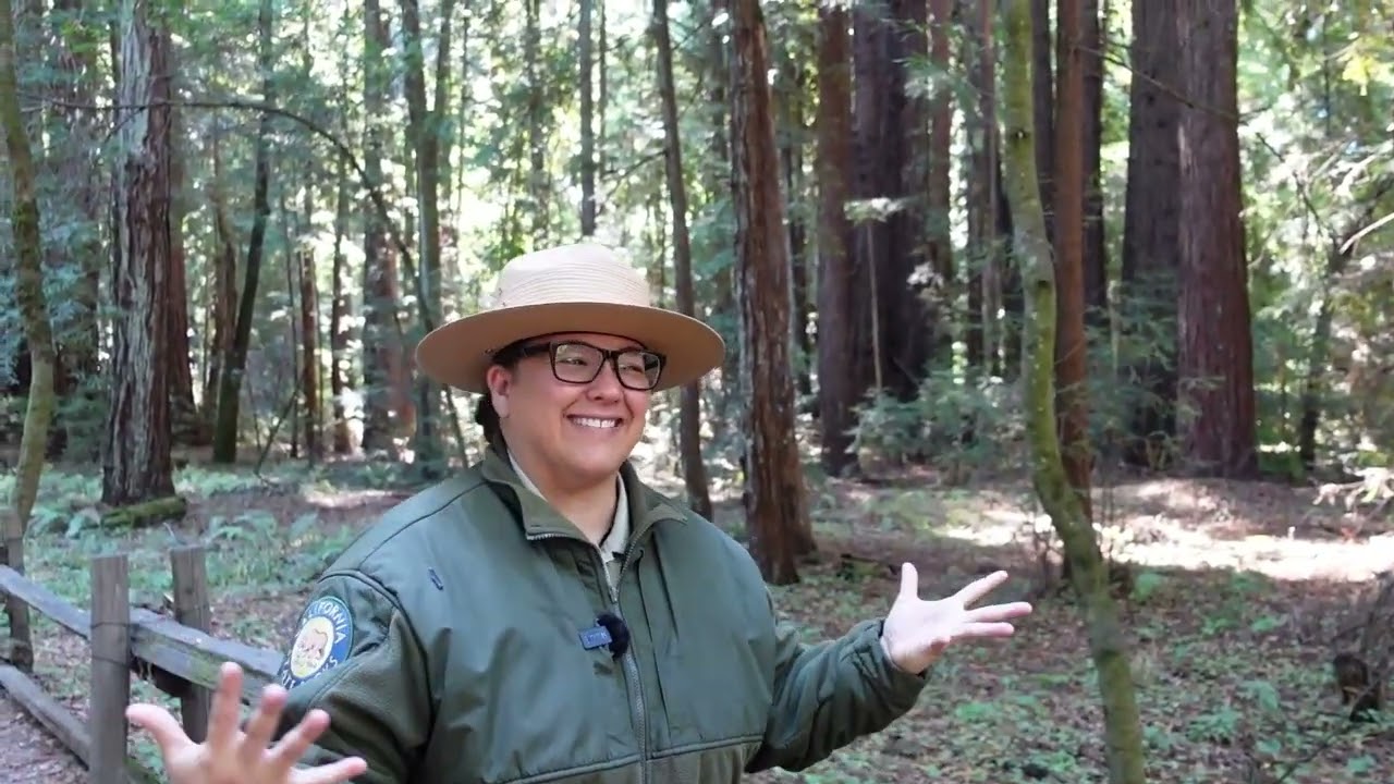 Henry Cowell Redwoods State Park, 
