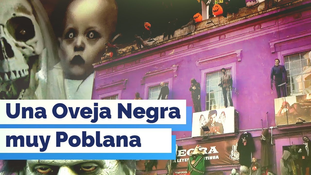 Visitamos la tienda de disfraces La Oveja Negra. ¿Qué tanto cambio?