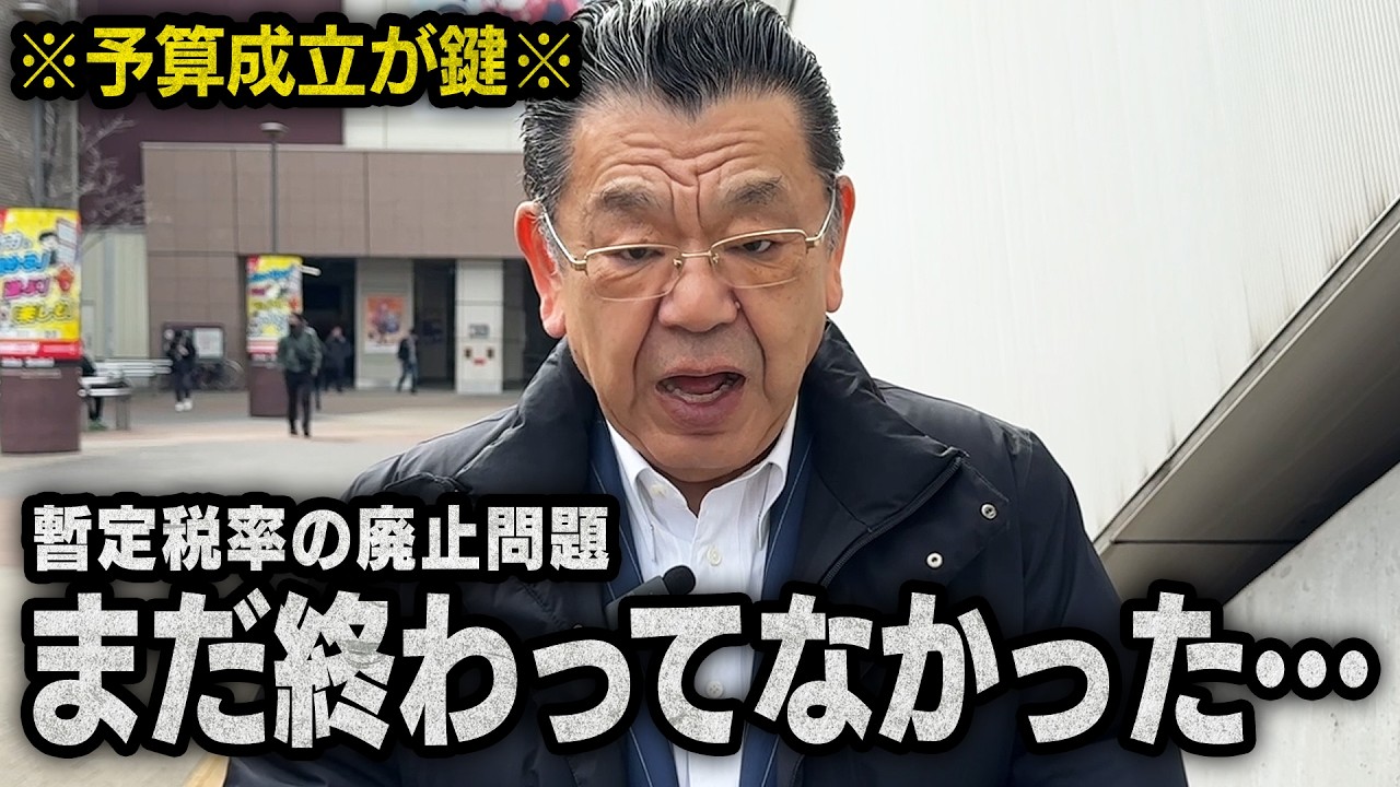 【暫定税率の廃止問題】※国民民主がどう動く？※ 国会での予算の年度内成立について解説します