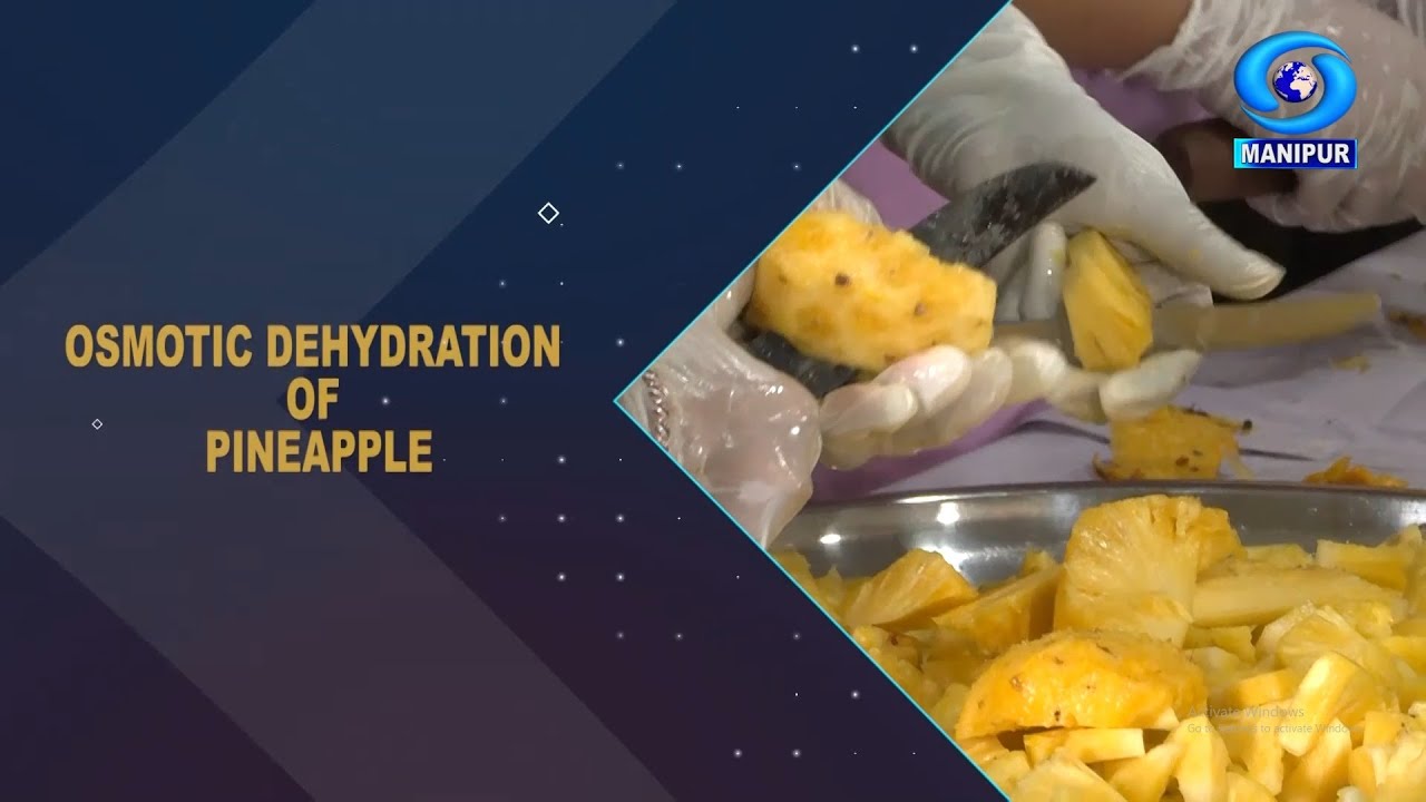 Agriculture Programme | Osmotic Dehydration of Pineapple