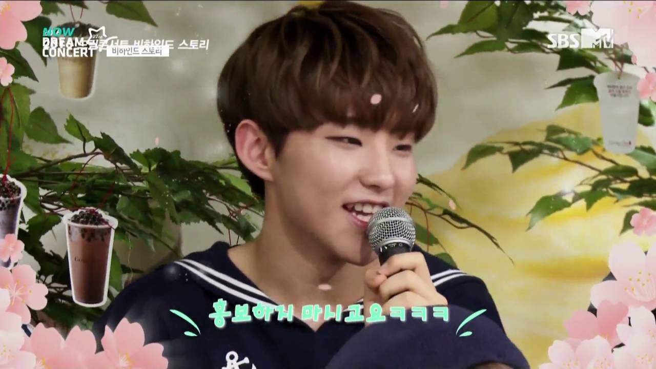 160617 Dream Concert Behind Story 드림콘서트 비하인드 스토리 - Seventeen 세븐틴
