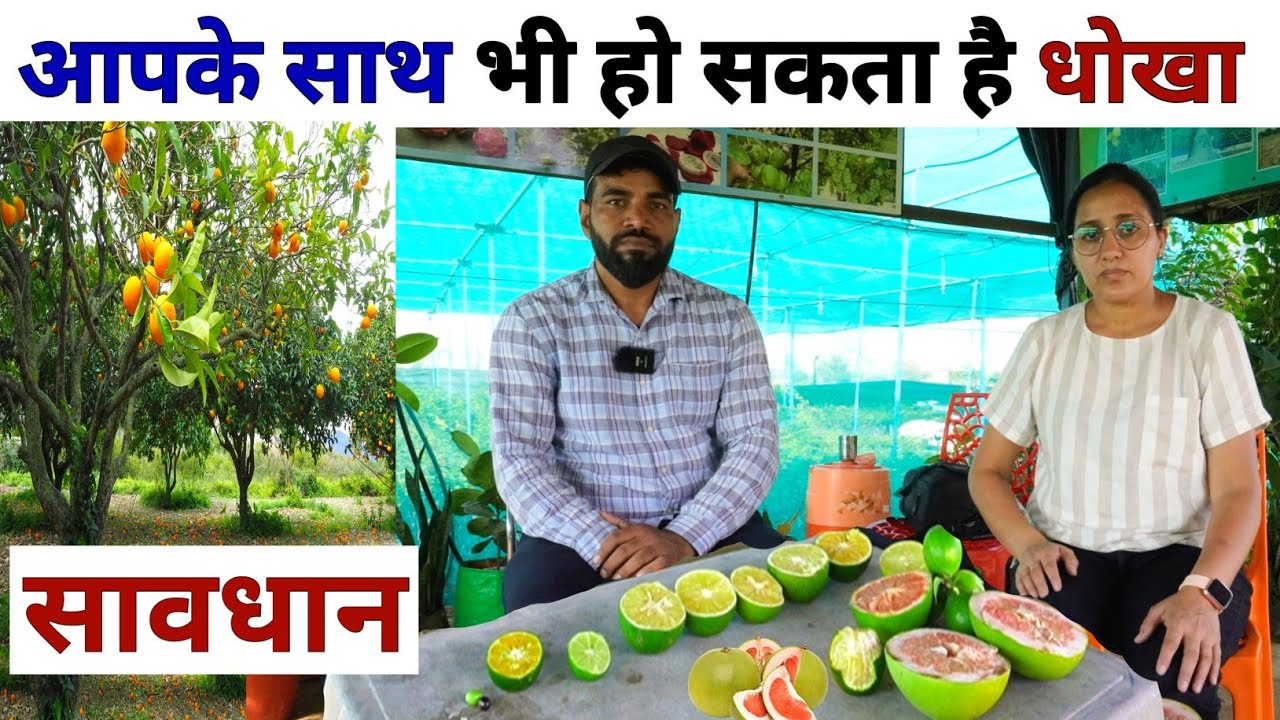 किसान सबसे बड़ी गलती यही करते हैं | Farming Business Ideas | Profitable Farming | Citrus Farming