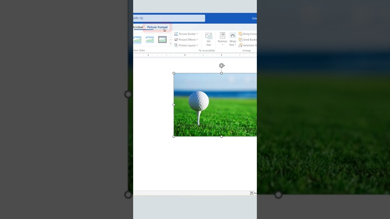 Flip an Image in Microsoft Word 📸 #shorts