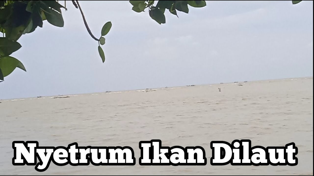 Setrum Air Asin/Payau Berat