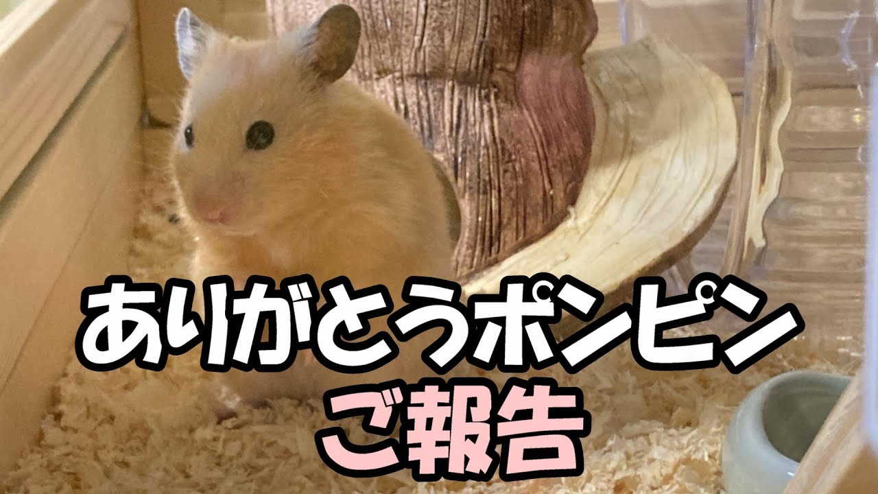 【ご報告】さよなら！大好き！ありがとう！