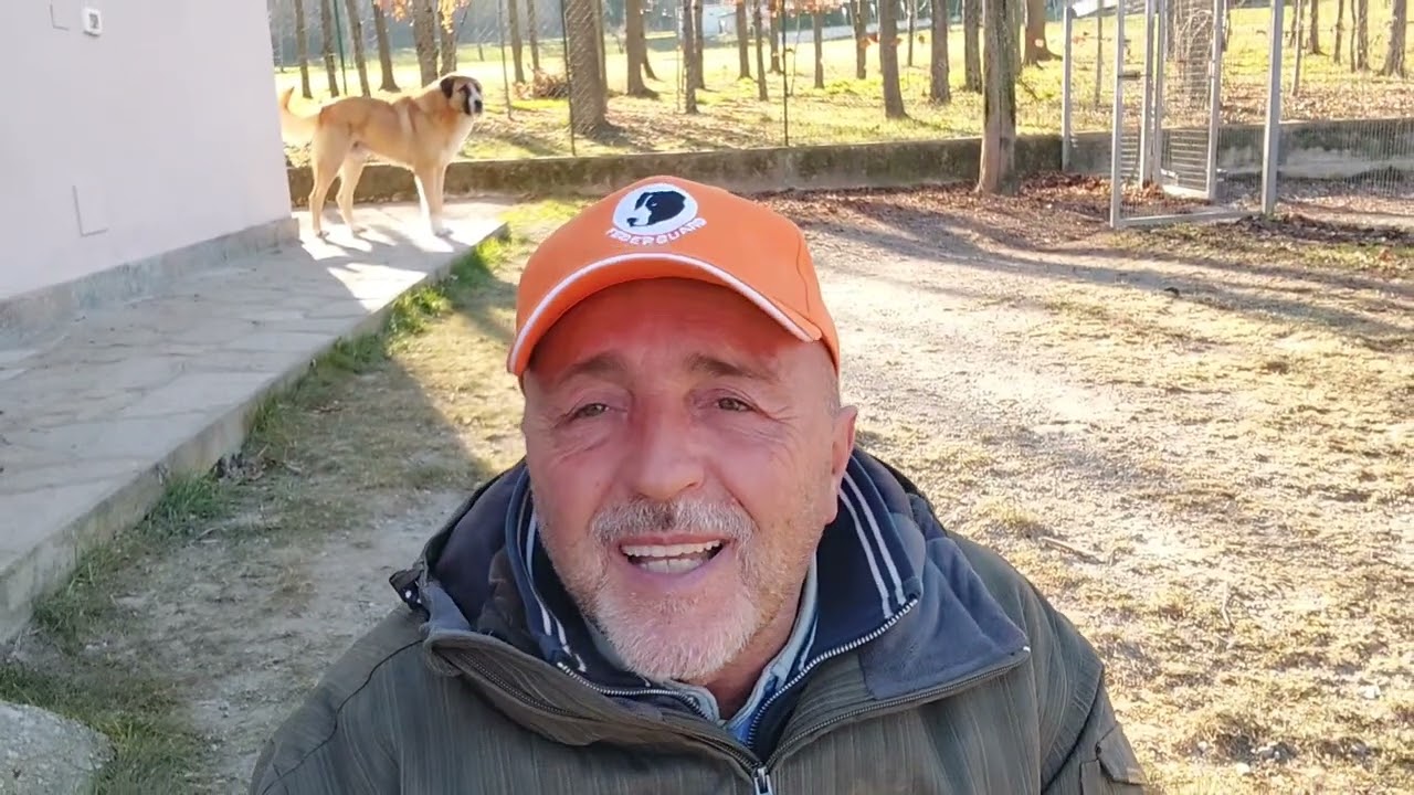 Ultima parte - Perché oggi è così difficile scegliere un cane da guardia che sappia fare la guardia?
