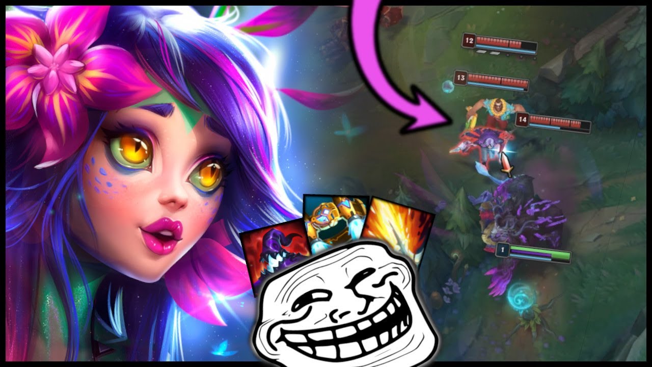 LEŚNA NEEKO ROBI W BAMBUKO