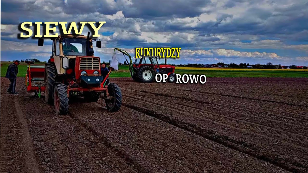 Oporowe siewy kukurydzy +UPRAWA W GR Gerczak | jumz 6AM | ursus 1222 | opór na 101% | AGRO_BILU_TEAM