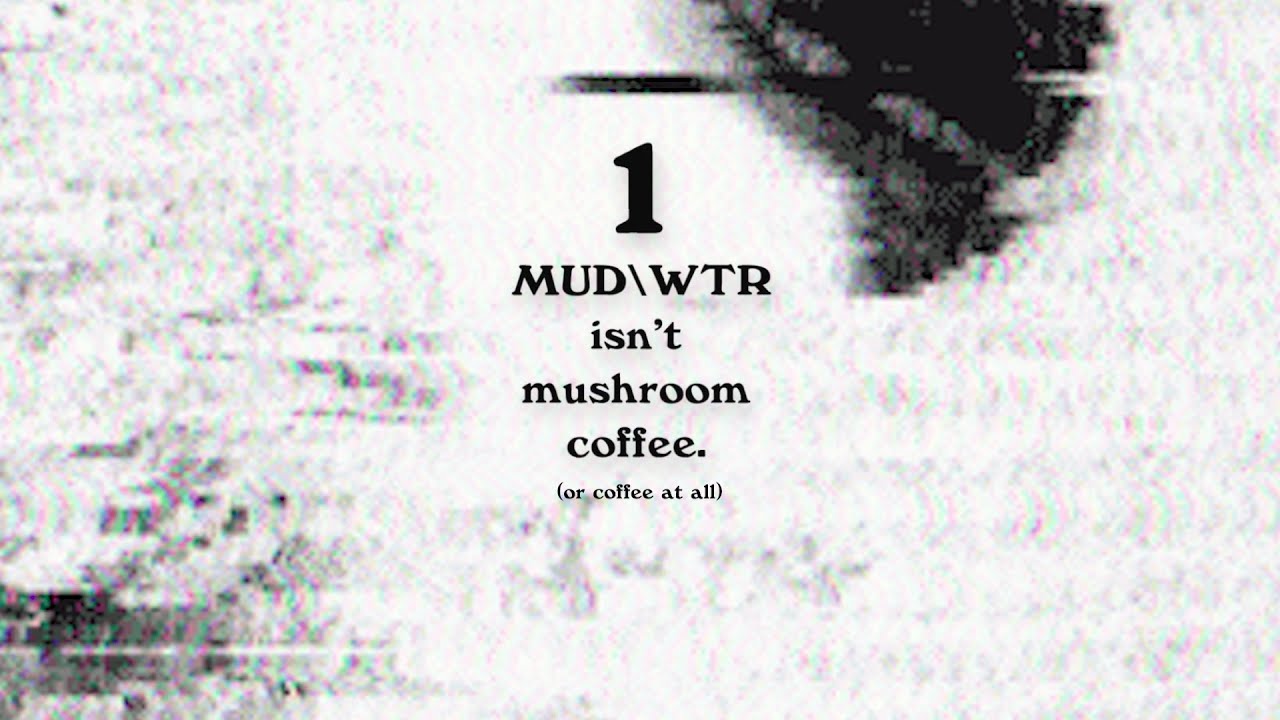The difference between MUD\WTR and Mushroom Coffee
