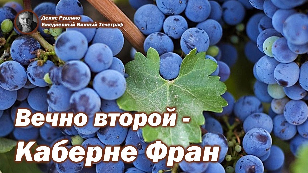 Вечно второй - Каберне Фран