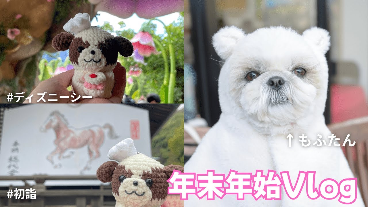 年末年始のVlog：実家のわんこに会いに行く＆ディズニーシー＆初詣⛩