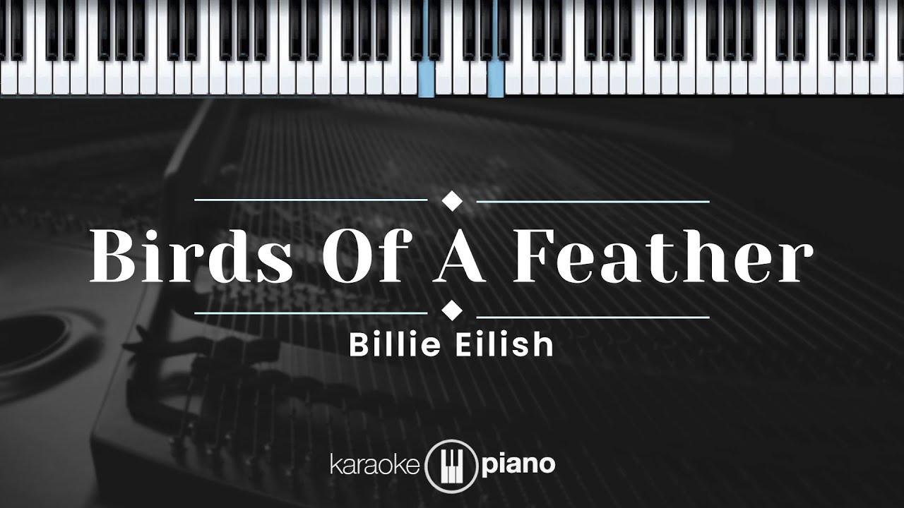 Birds Of A Feather  - Billie Eilish (KARAOKE PIANO - ORIGINAL KEY)