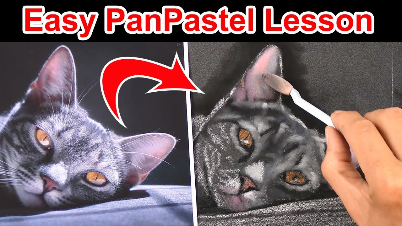Mastering PanPastels: Step-by-step Cat Drawing Tutorial for Beginners
