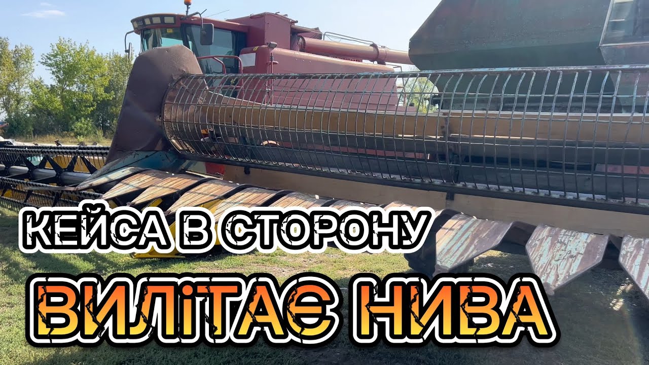 Сайберік в тотальну засуху! Нива розвалюється, але збирає врожай! Niva SK-5 is harvesting sunflowers
