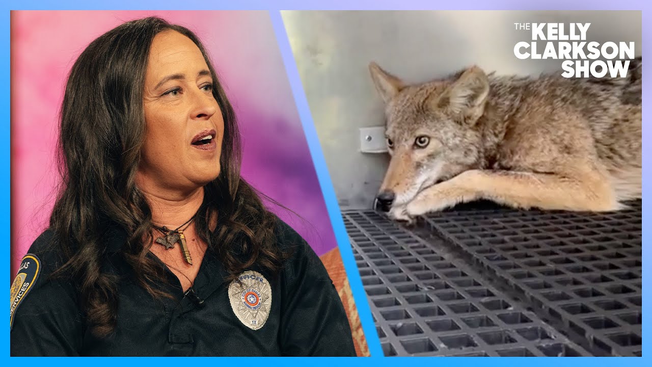 Dallas Animal Officer Fosters Wildlife In Her Home