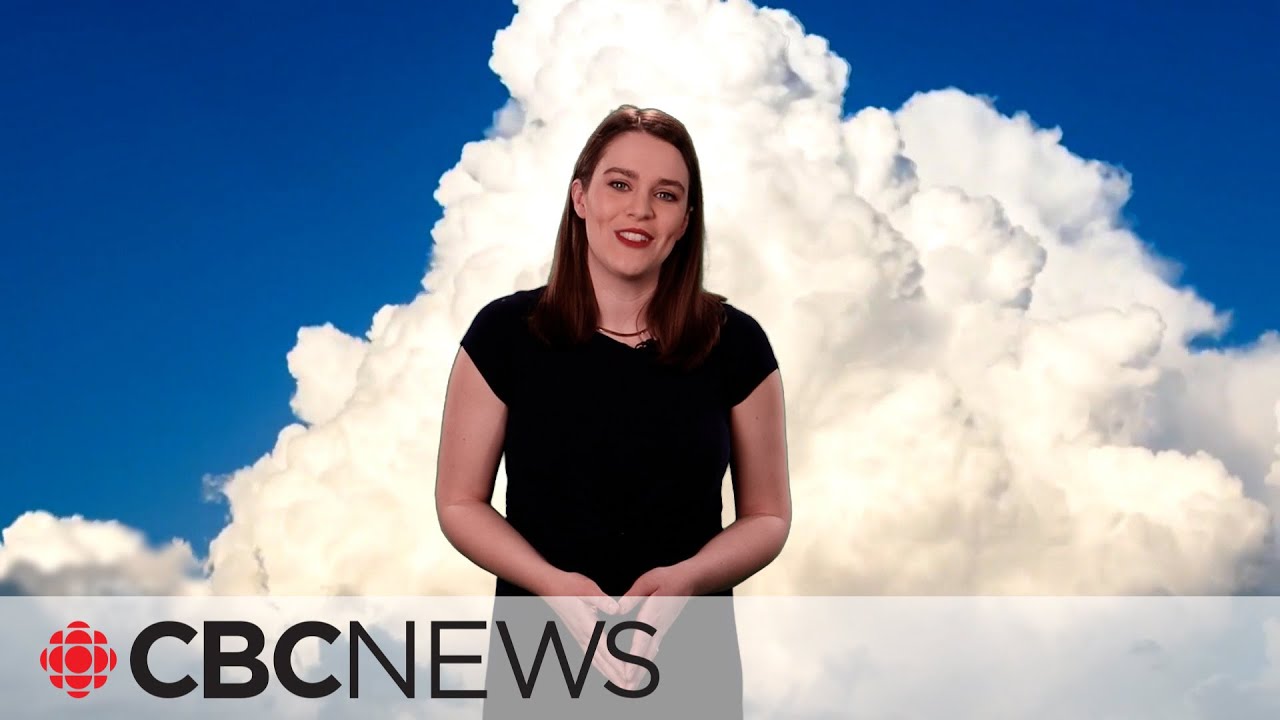 What different cloud types mean for the weather