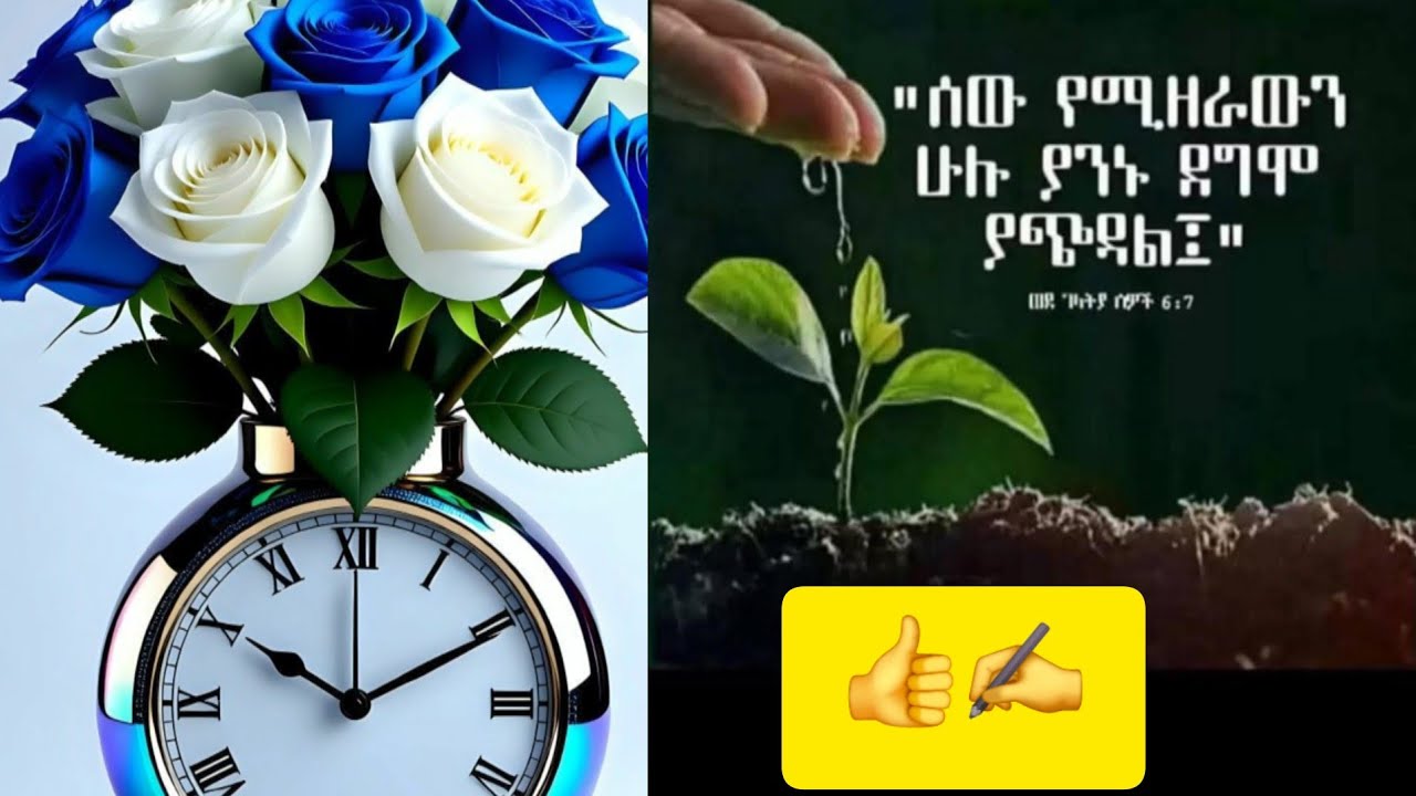 ሰውን የሚዘራውን ሁሉ ያንኑ ደግሞ ያጭዳል።