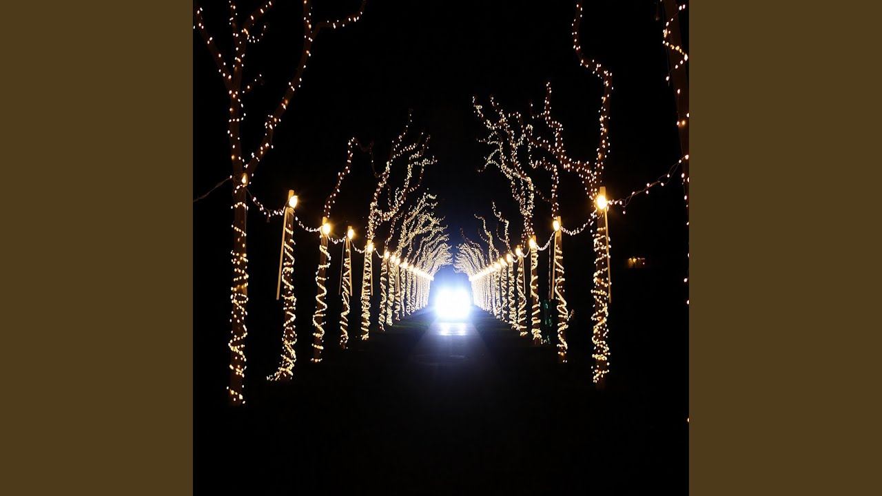 Follow The Lights