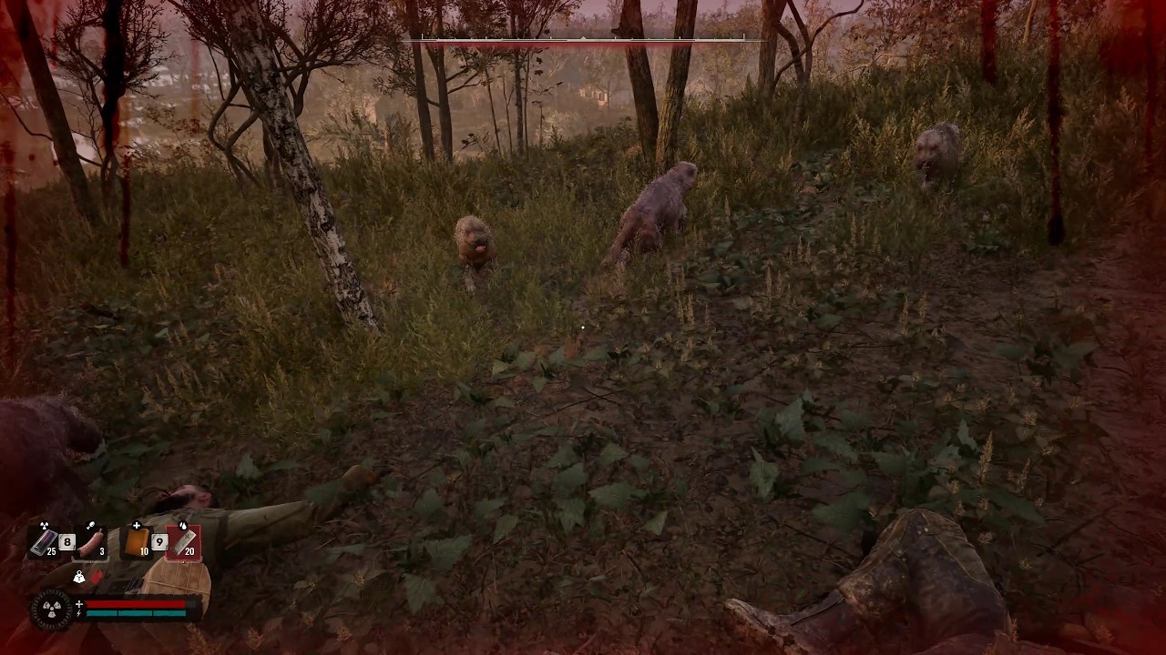S.T.A.L.K.E.R. 2 - Heart of Chornobyl #1,416: Bandits, Boars, Zombies & Dogs