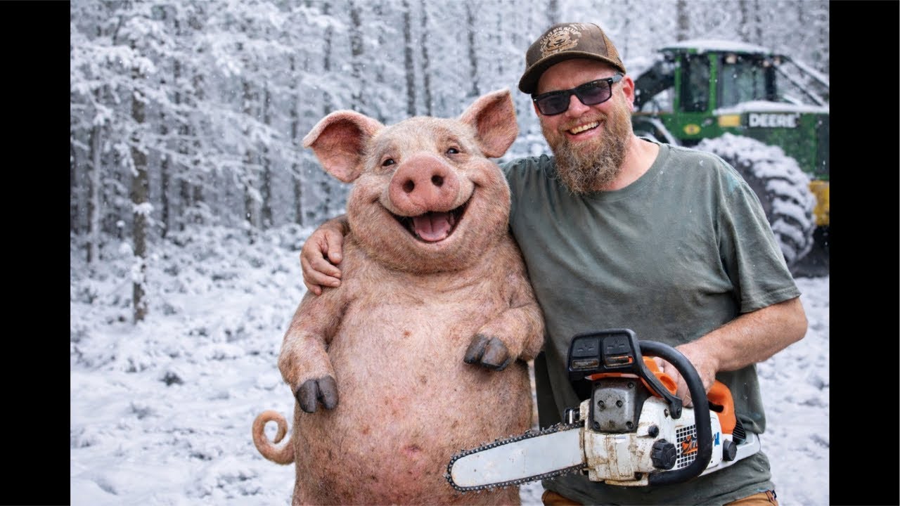 I Chainsaw Carved a FUNNY Pig Out of a Tree Stump… and It Actually Worked! 🐷🪚