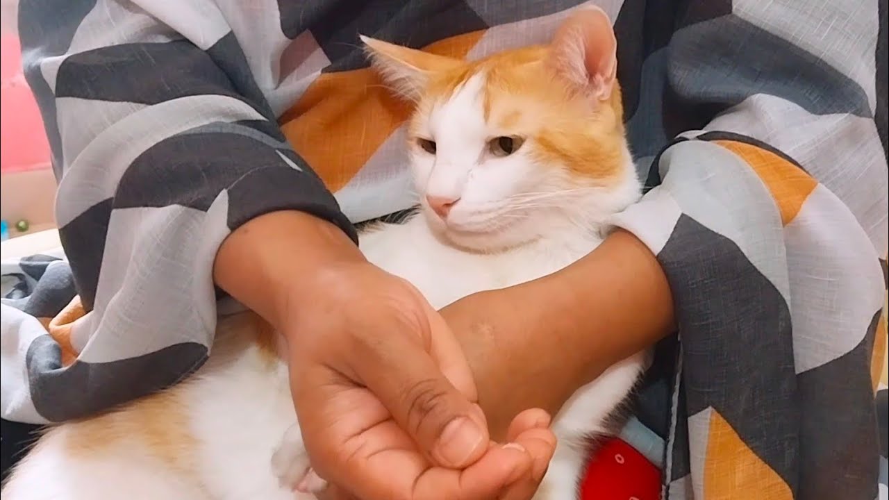 ঘুম থেকে ওঠার পর মাথা কাজ করে না 😱 