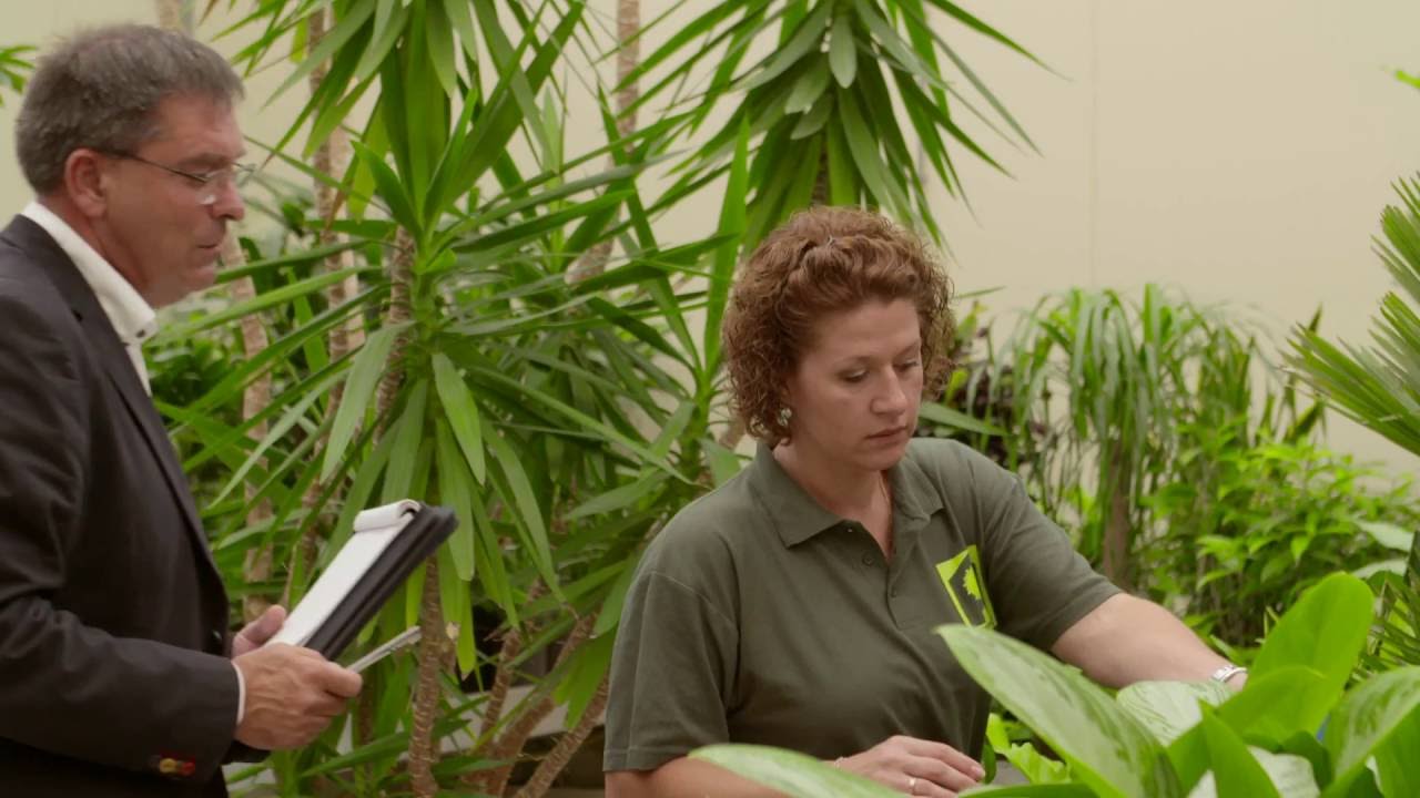 Groenprojecten Zoetermeer item Doe Maar Duurzaam! RTL7 S05E01 28 juli 2016