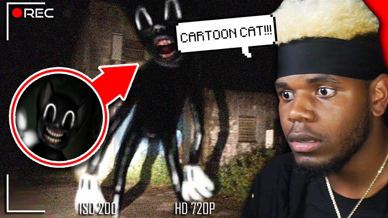 This is how Cartoon Cat was Created...