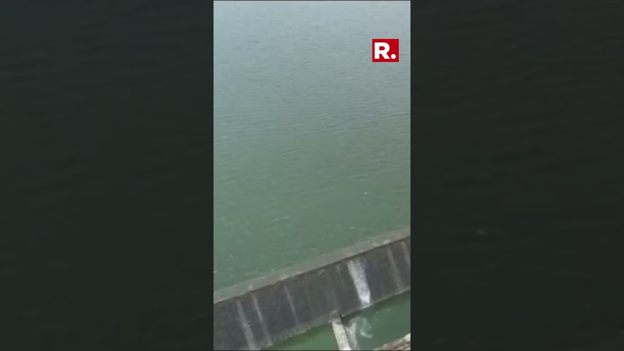 Gujarat: Machhu Dam In Morbi Overflows Due To Heavy Rains