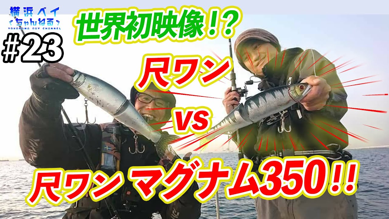 尺ワンvs尺ワンマグナム！究極の対決！東京湾ボートシーバス[実釣]＃23