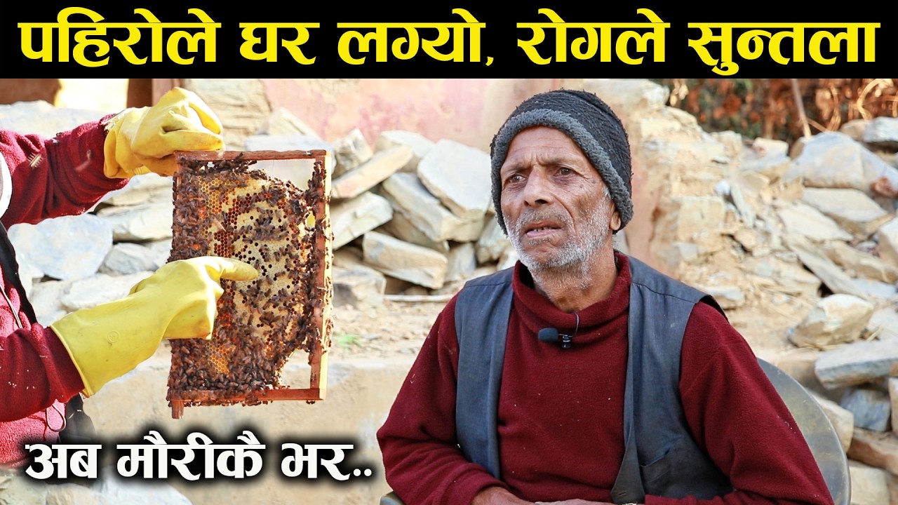 पहिरोले घर लग्यो, रोगले सुन्तला: अब मौरीकै भर