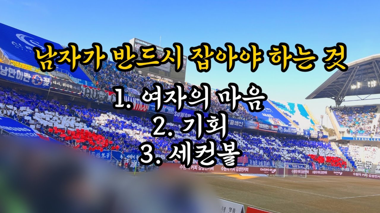 [직관브이로그] 그게 되나 적당히 좋아하는게 | 수원삼성블루윙즈VS서울이랜드FC .vlog