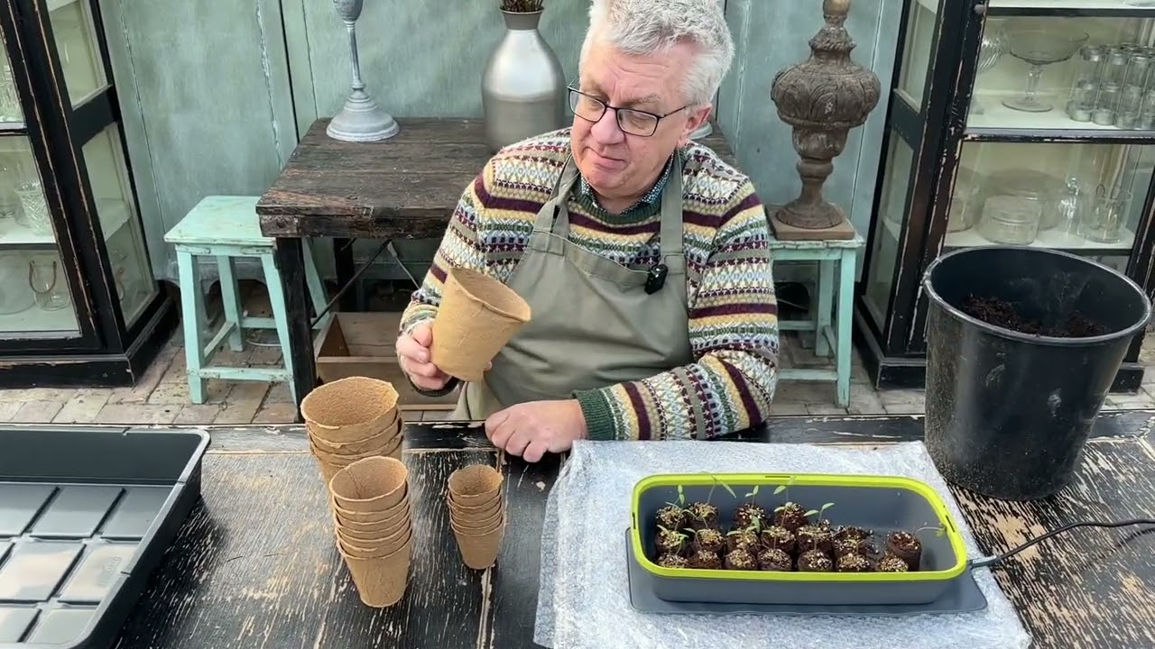 Kom tidligt i gang med såning af for eksempel tomater, chilier og agurker og også blomster