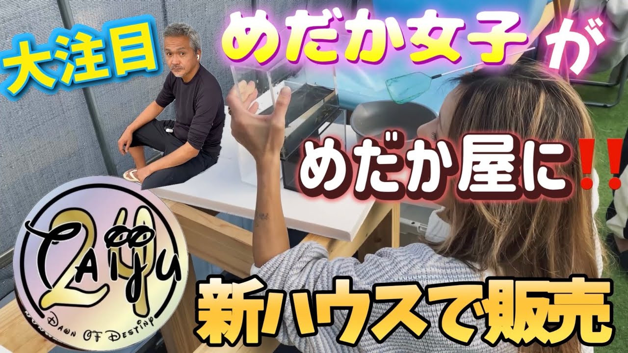 めだか女子がめだか屋に‼️大注目TAIJU(タイジュ)24訪問‼️