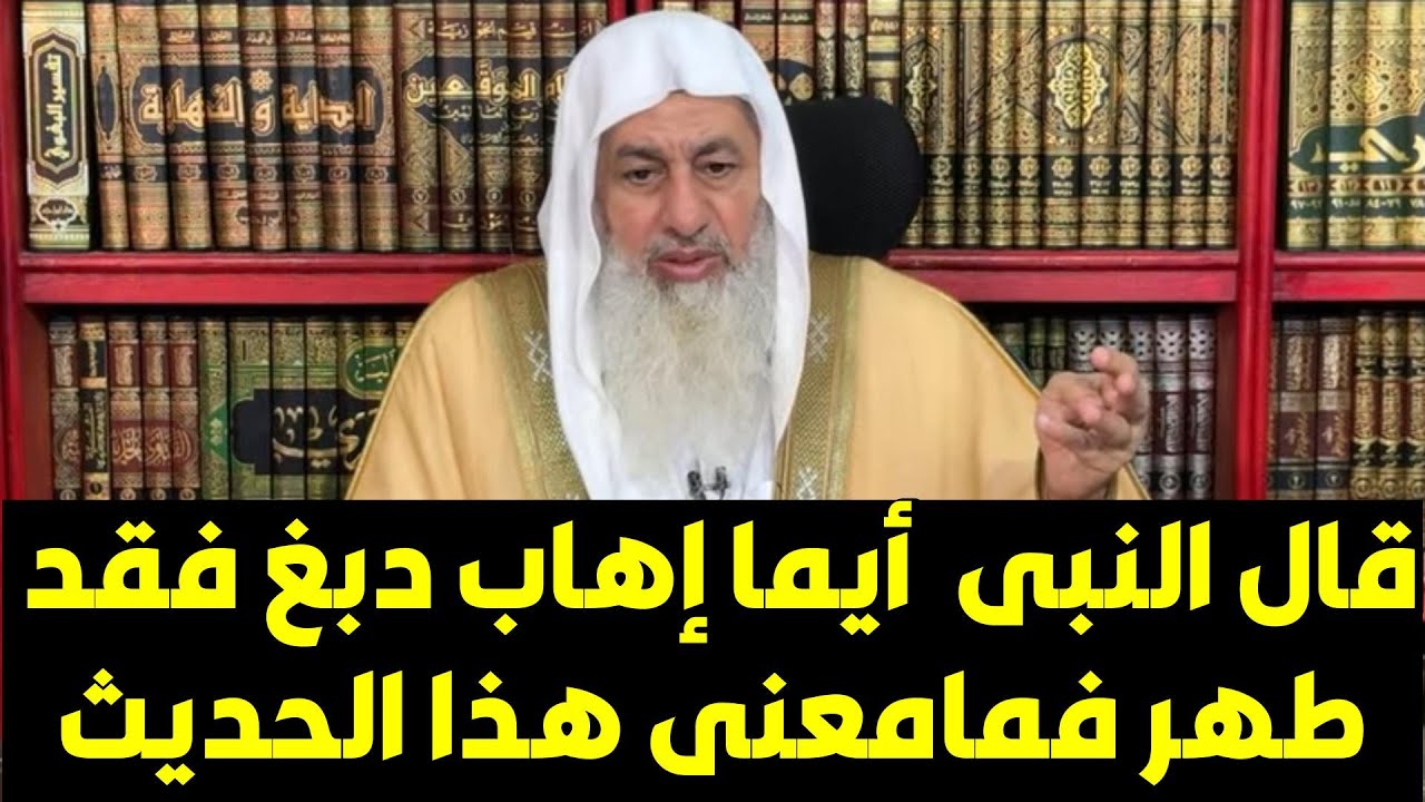 قال النبى  أيما إهاب دبغ فقد طهر فمامعنى هذا الحديث الشيخ مصطفى العدوى