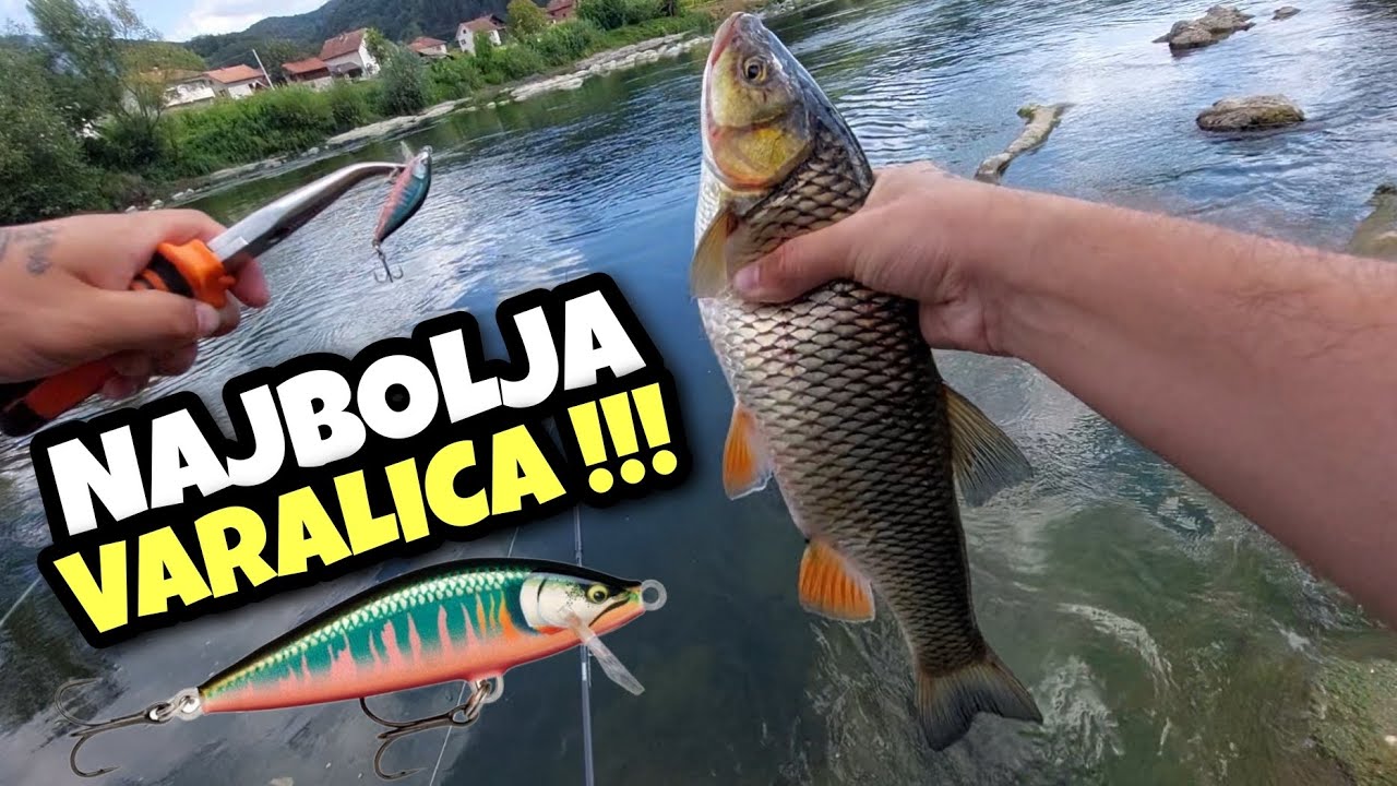 Najbolja varalica za pecanje Klena !!!
