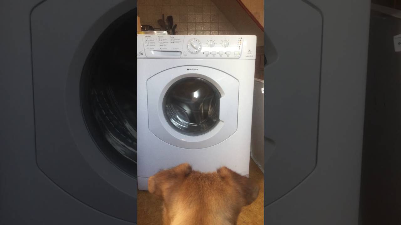 Hotpoint WDL540 Washer Dryer Fault
