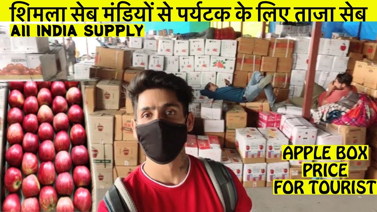 Himachal Famous apple yaha milega | shimla apple mandi | PRICES Market explored