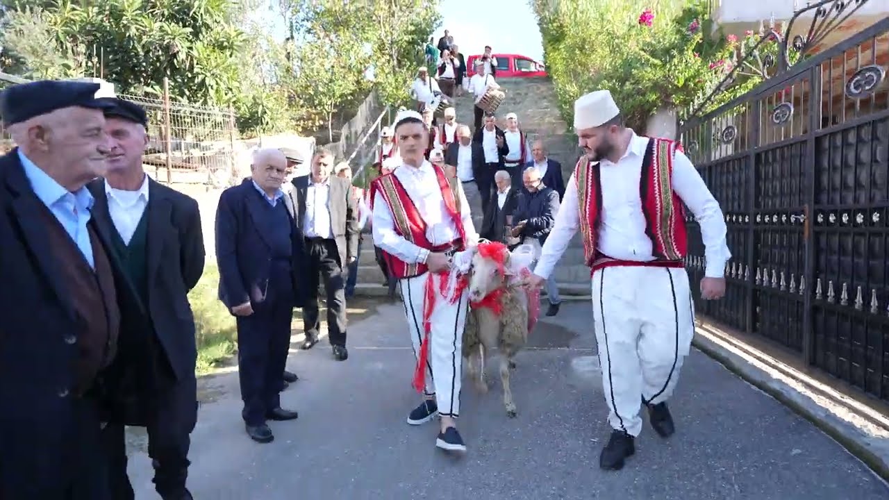 Tradita Kuksiane / Pritja e dajave tek dasma e nipit (Dasma/Shqiptare 2025)