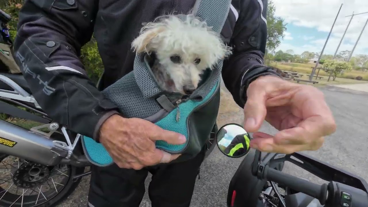 Ryker finds a cheap and cheerful van park.