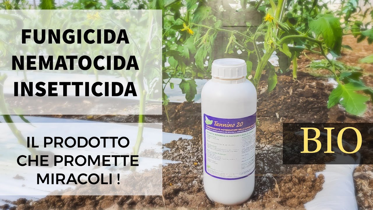 Il Prodotto che promette Miracoli