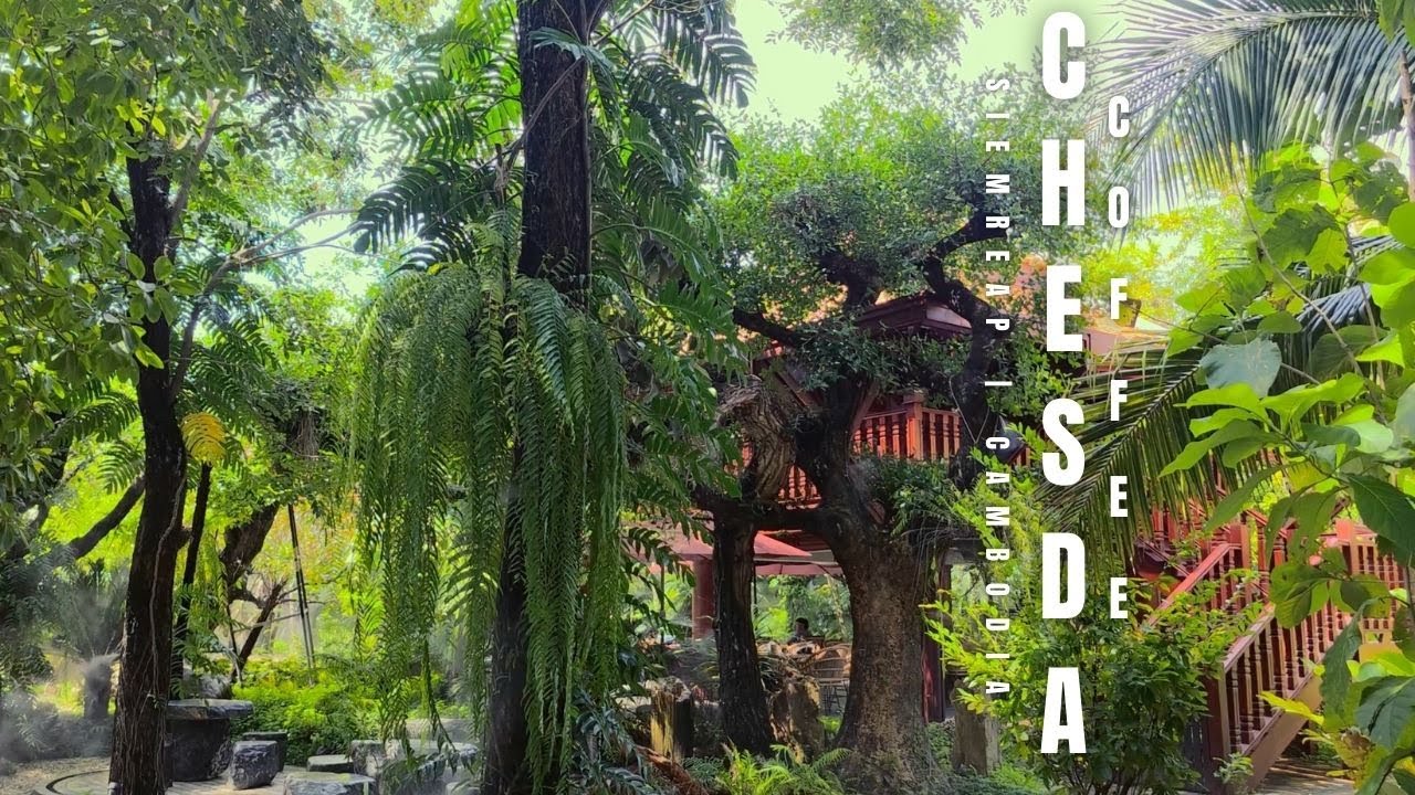 Chesda Coffee and Restaurant I Siem Reap I Cambodia