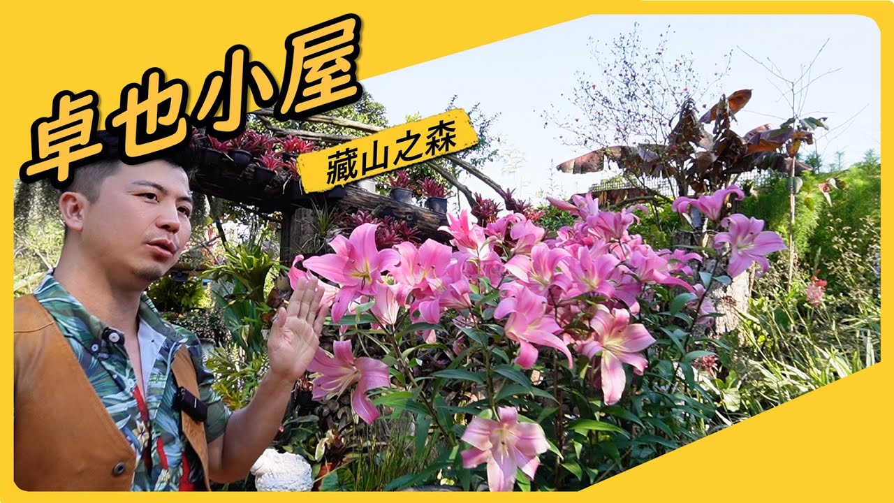 【卓也小屋】連花盆都可以種的這麼漂亮，我也是服了，我們今天先看新開發的藏山之森吧。另外卓也小屋鳶尾花季又要來了，4月3日快點去。＃伊恩愛種花＃鳶尾花＃花菖蒲＃卓也小屋