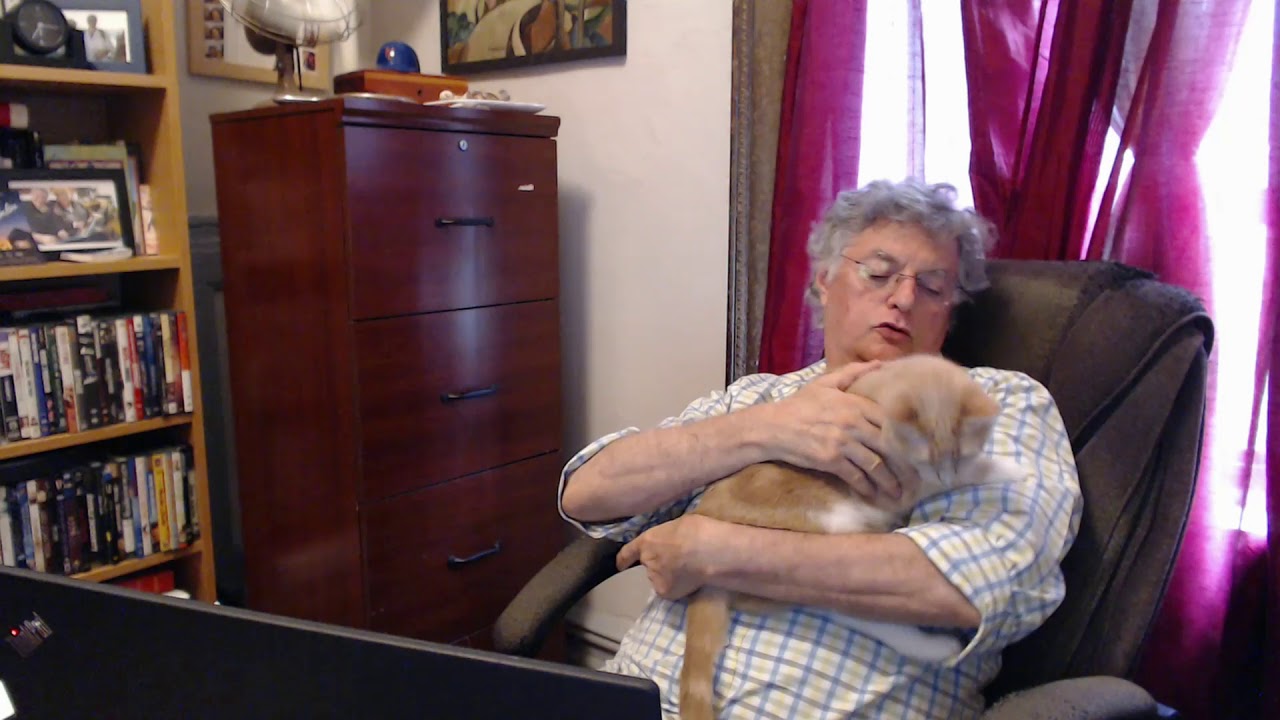 An Author's Life