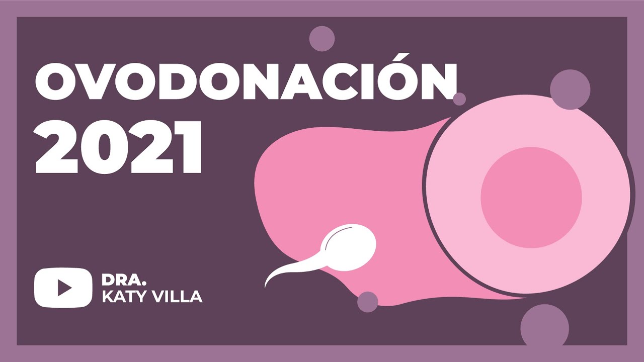 &iquest;En qu&eacute; consiste la Ovodonaci&oacute;n? 🧐
