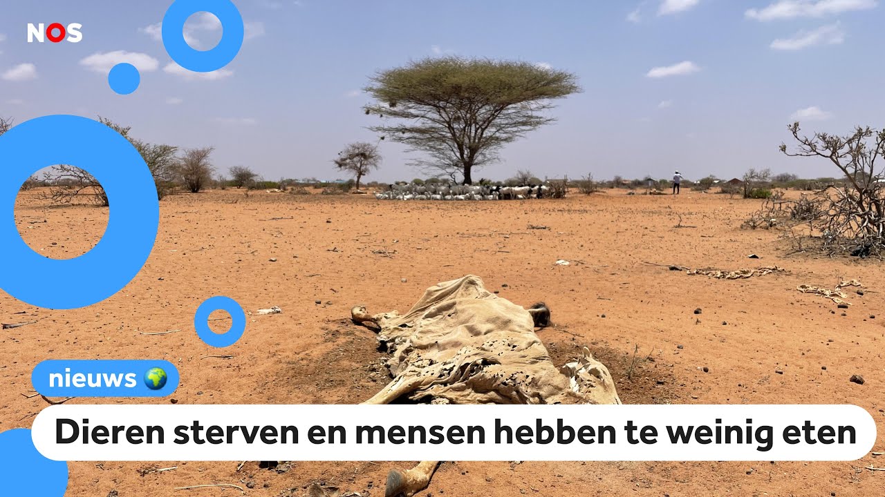 Honger en droogte in oosten van Afrika: 'Help ons!'
