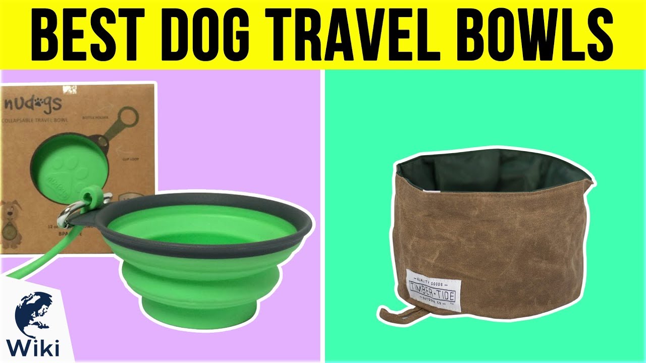 10 Best Dog Travel Bowls 2019